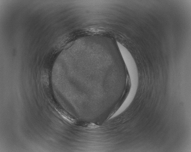 X0000080150562200701051542