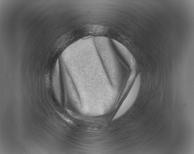 X0000080150564200701051542
