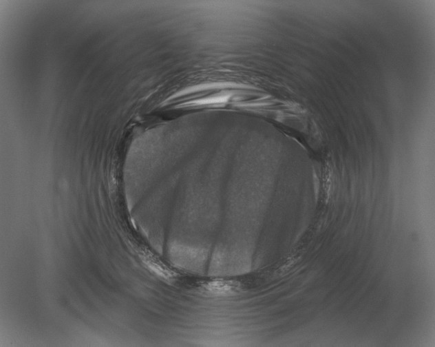 X0000080150566200701051542