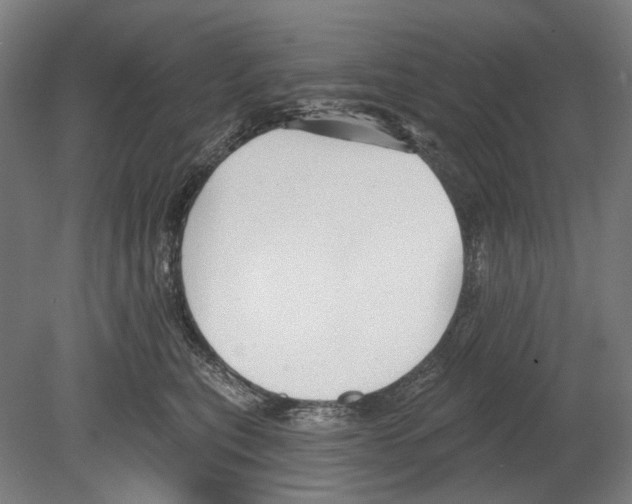 X0000080150567200701051542