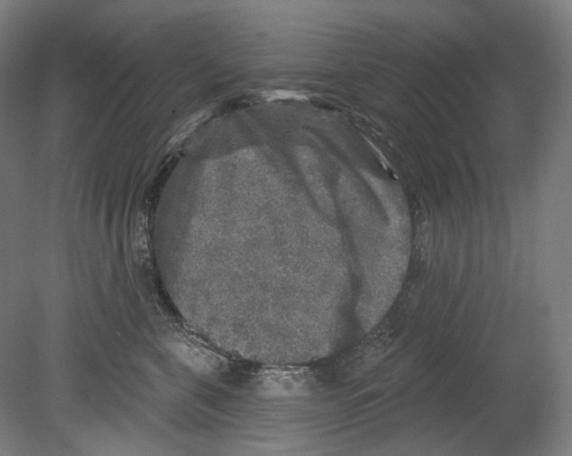 X0000080150571200701051542