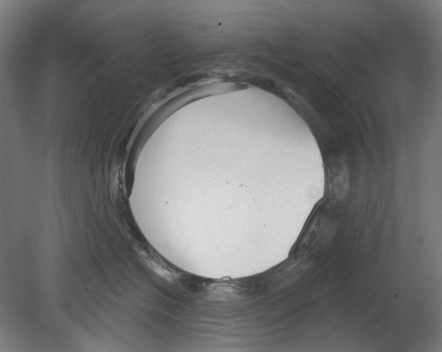 X0000080150574200701051542