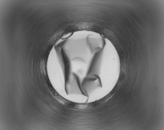 X0000080150575200701051542