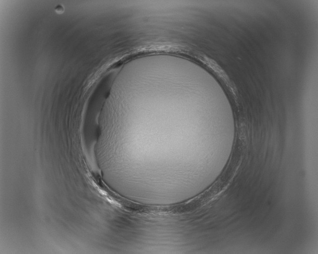 X0000080150577200701051542