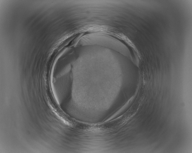X0000080150581200701051542