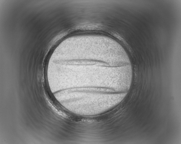 X0000080150582200701051542
