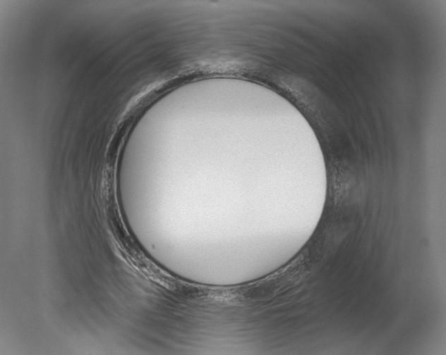 X0000080150583200701051541