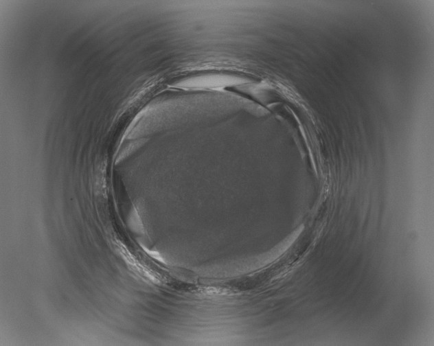 X0000080150585200701051541