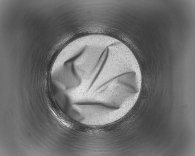 X0000080150586200701051541