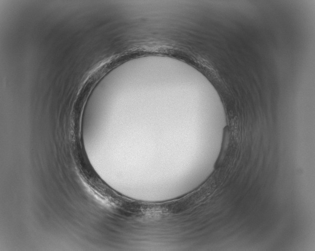 X0000080150587200701051541
