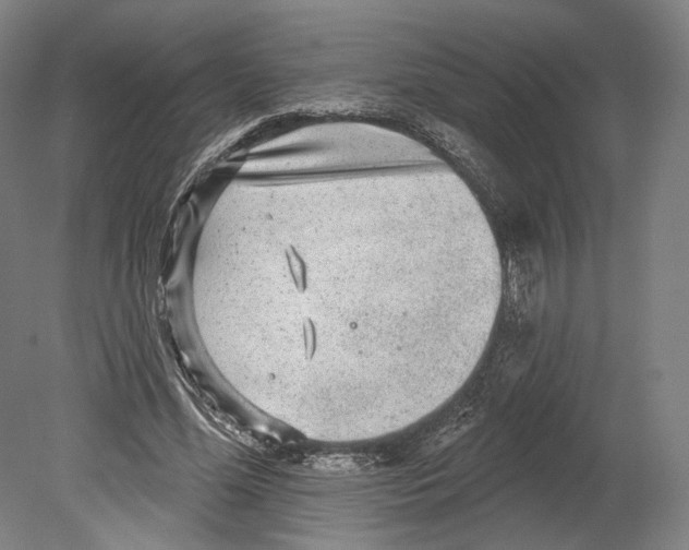 X0000080150588200701051541