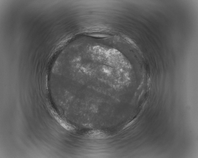 X0000080150589200701051541