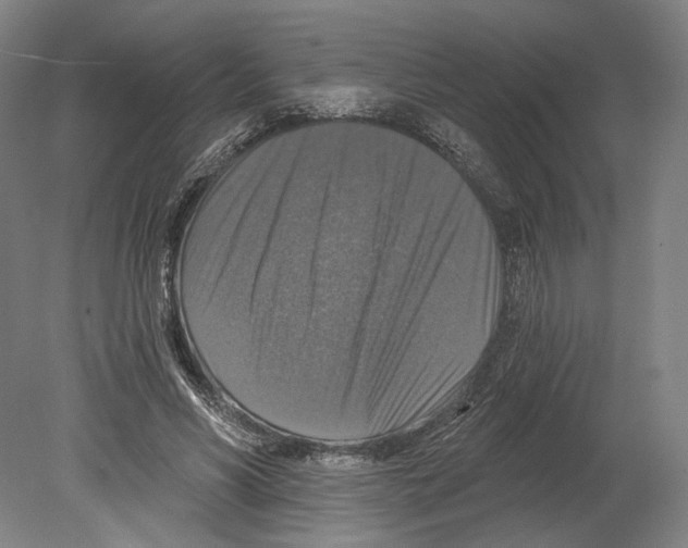 X0000080150590200701051541