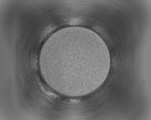X0000080150592200701051541