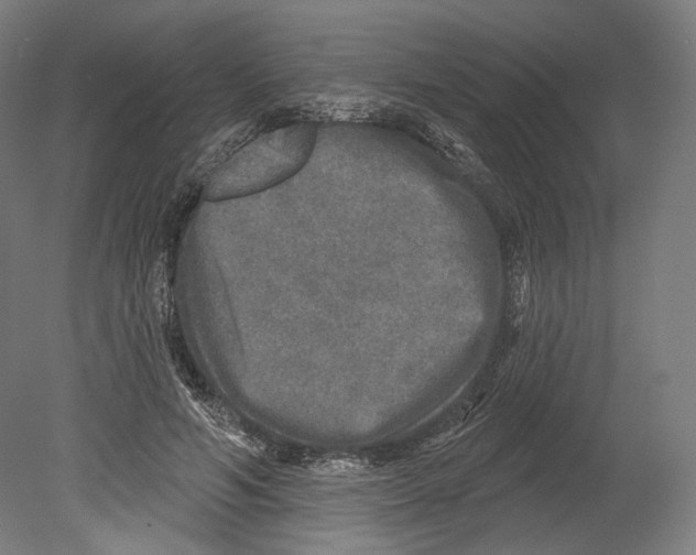 X0000080150594200701051541