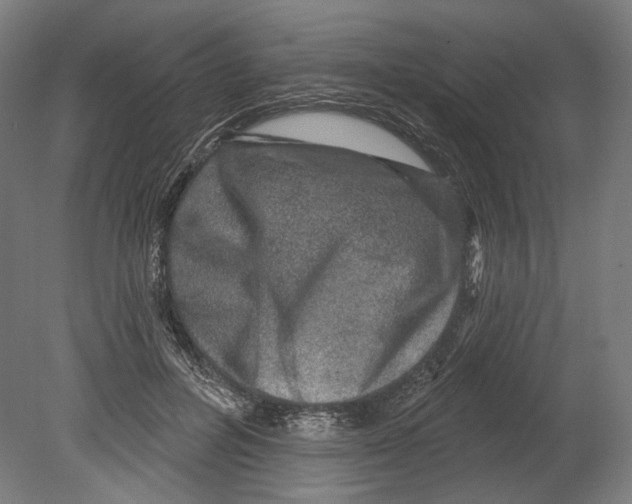 X0000080150600200701051541