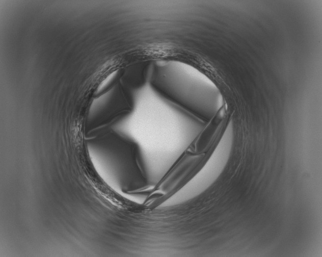 X0000080150601200701051541