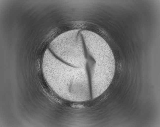 X0000080150602200701051541