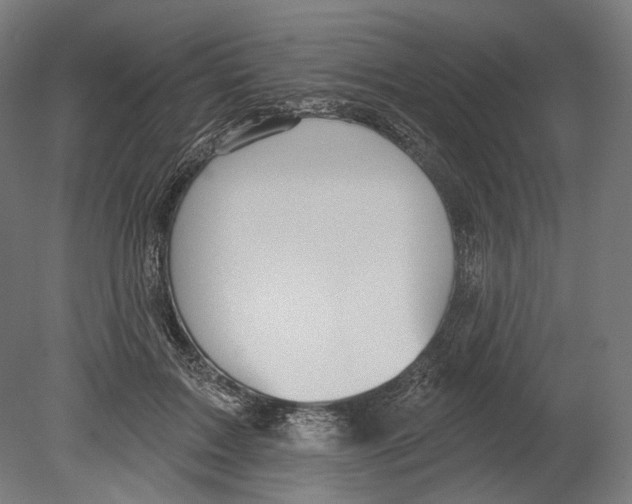 X0000080150603200701051541