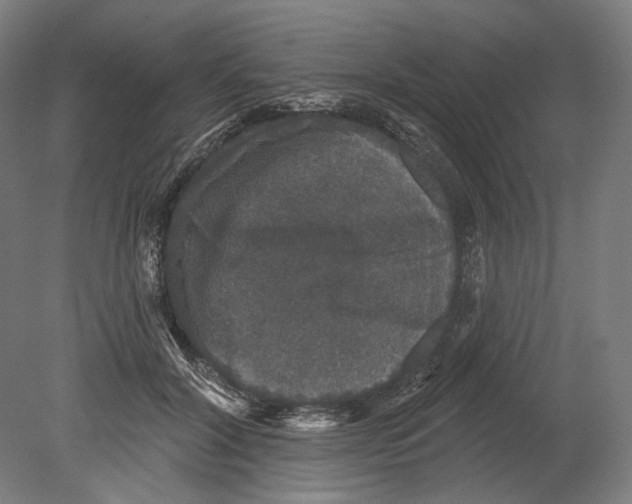 X0000080150604200701051541