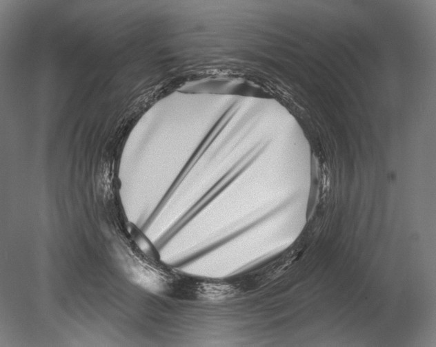 X0000080150605200701051541