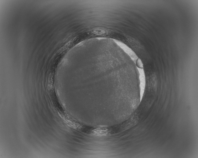 X0000080150606200701051541