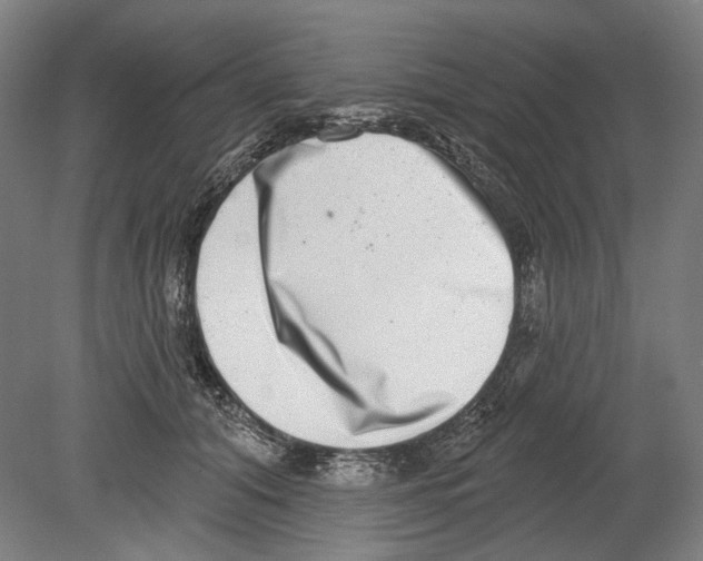 X0000080150608200701051541