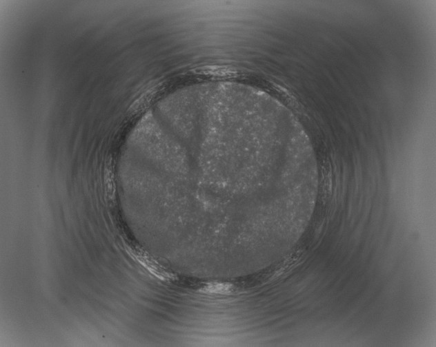 X0000080150609200701051541