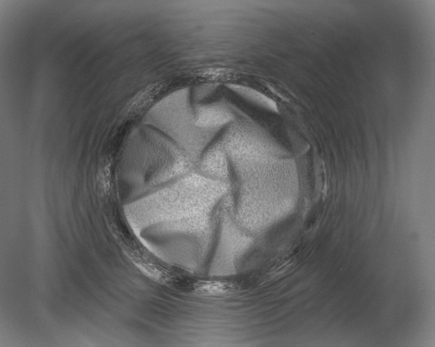 X0000080150611200701051541