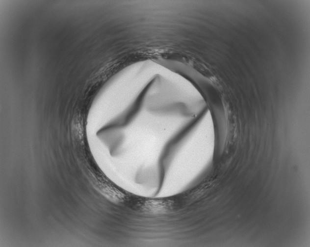 X0000080150613200701051541