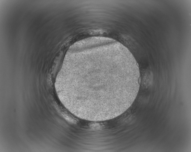 X0000080150616200701051541