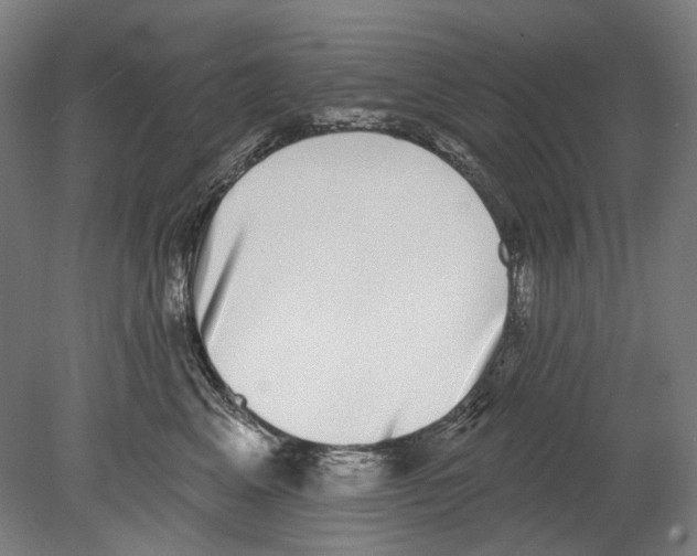 X0000080150617200701051541