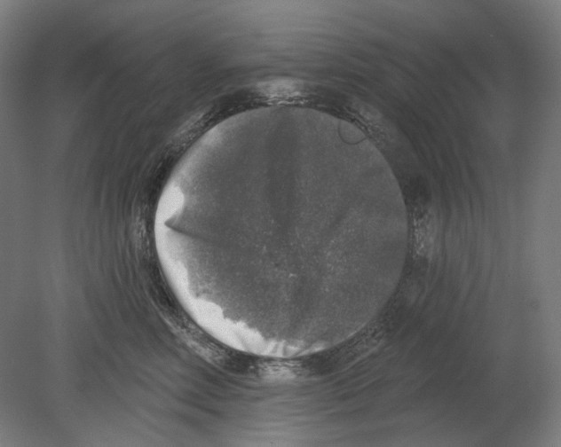 X0000080150618200701051541
