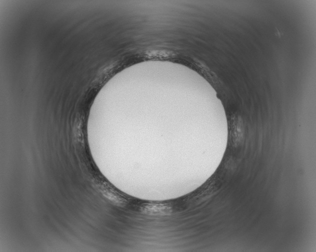 X0000080150619200701051541