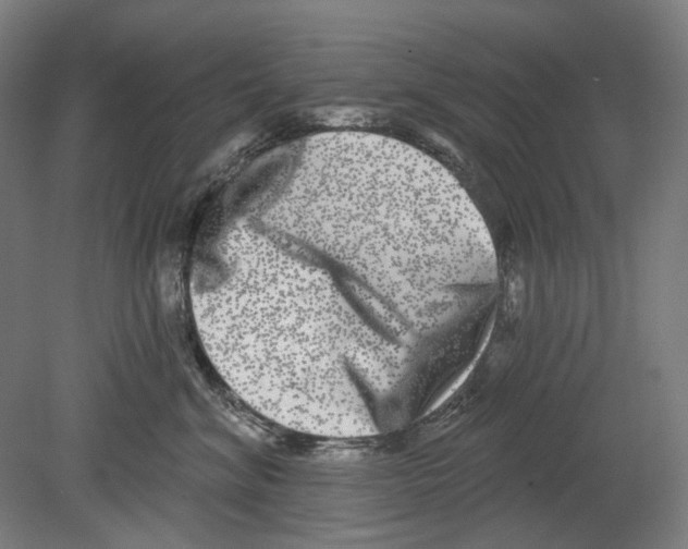X0000080150620200701051541