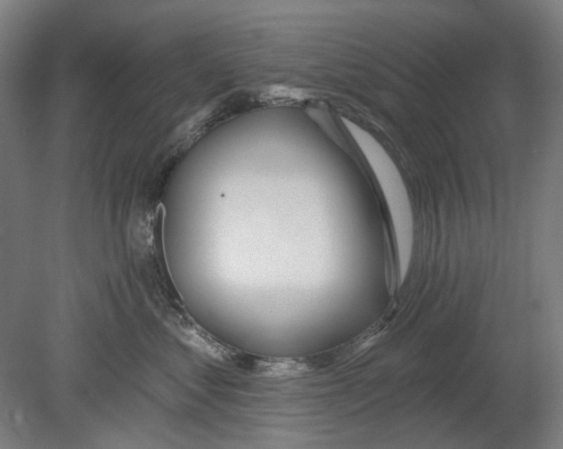 X0000080150621200701051541