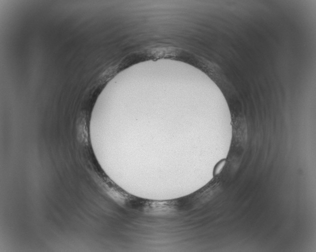 X0000080150622200701051541