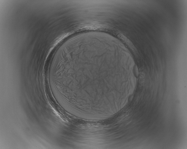 X0000080150626200701051540