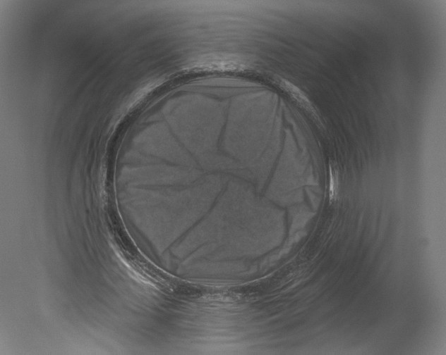 X0000080150627200701051540