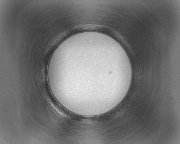X0000080150633200701051540