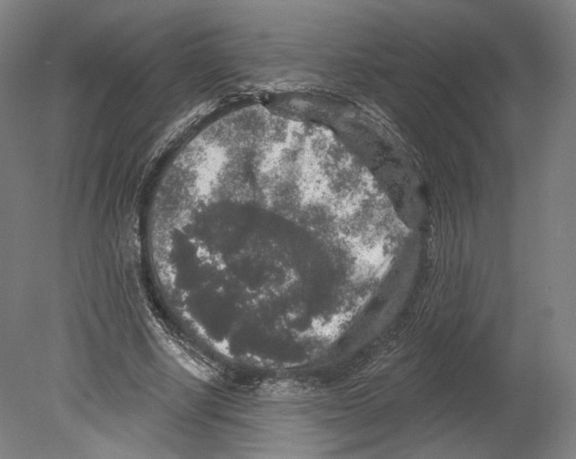 X0000080150634200701051540