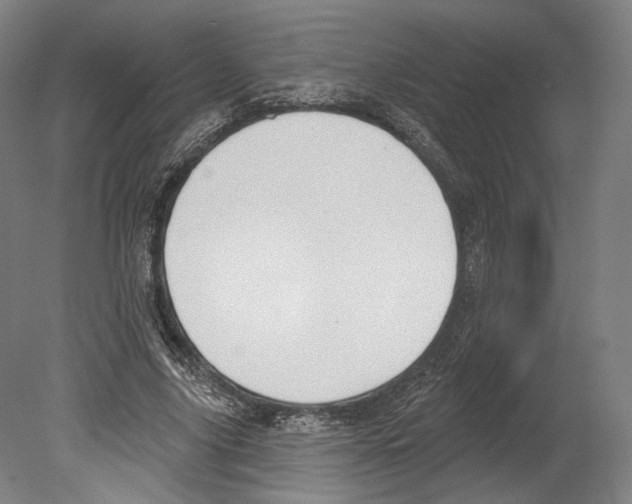 X0000080150635200701051540