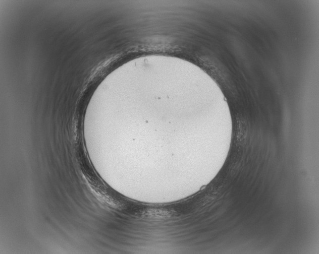 X0000080150636200701051540
