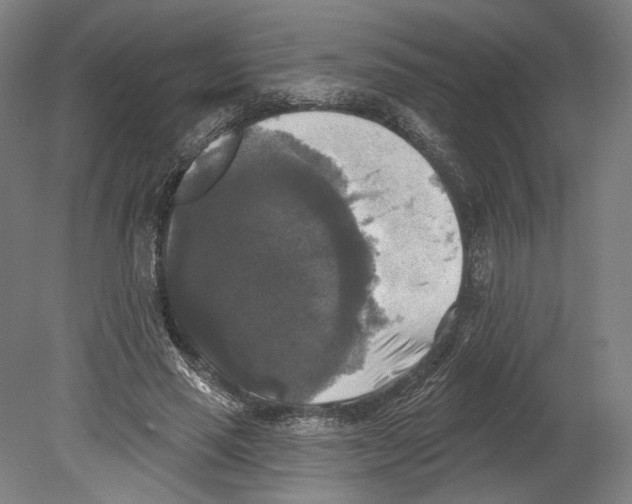 X0000080150637200701051540