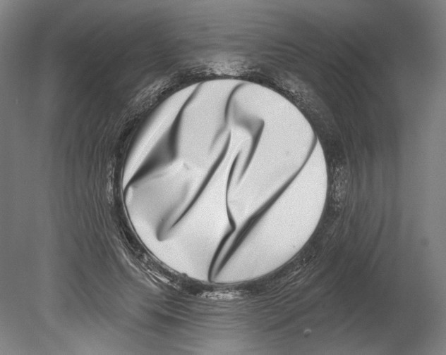 X0000080150639200701051540