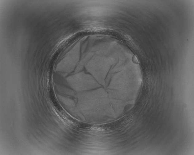 X0000080150640200701051540