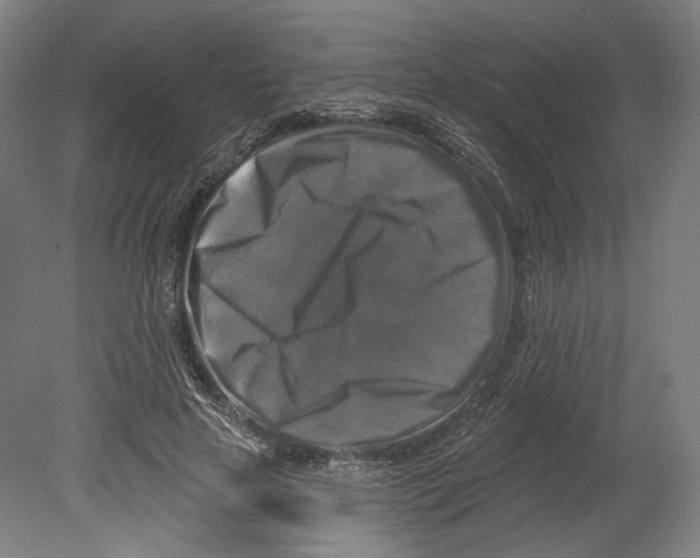 X0000080150641200701051540