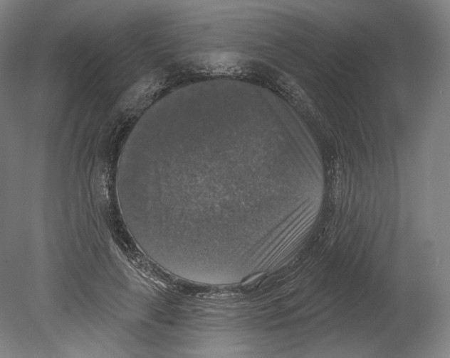 X0000080150643200701051540