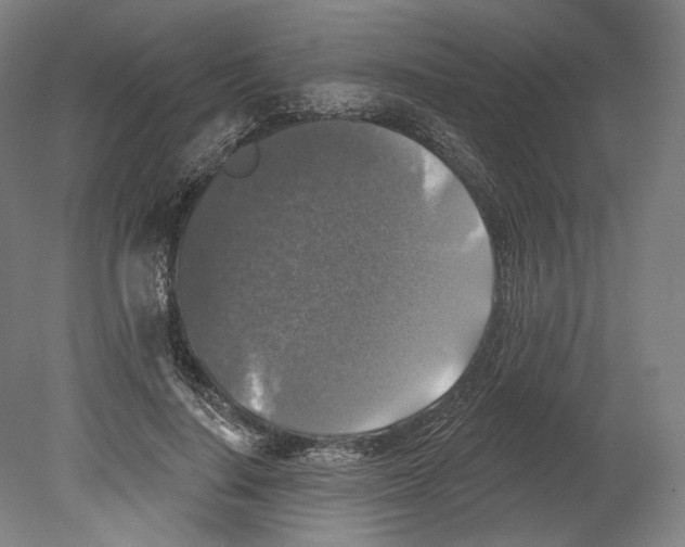 X0000080150644200701051540