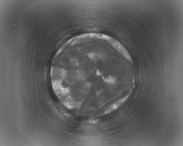 X0000080150647200701051540